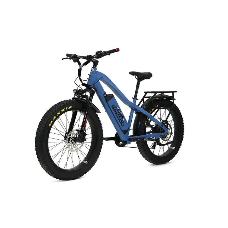 Bakcou Flatlander Fat Tire Electric Bike, 48V 750W