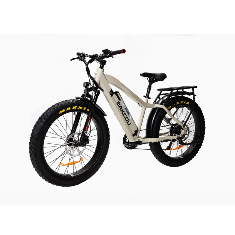 Bakcou Flatlander Fat Tire Electric Bike, 48V 750W