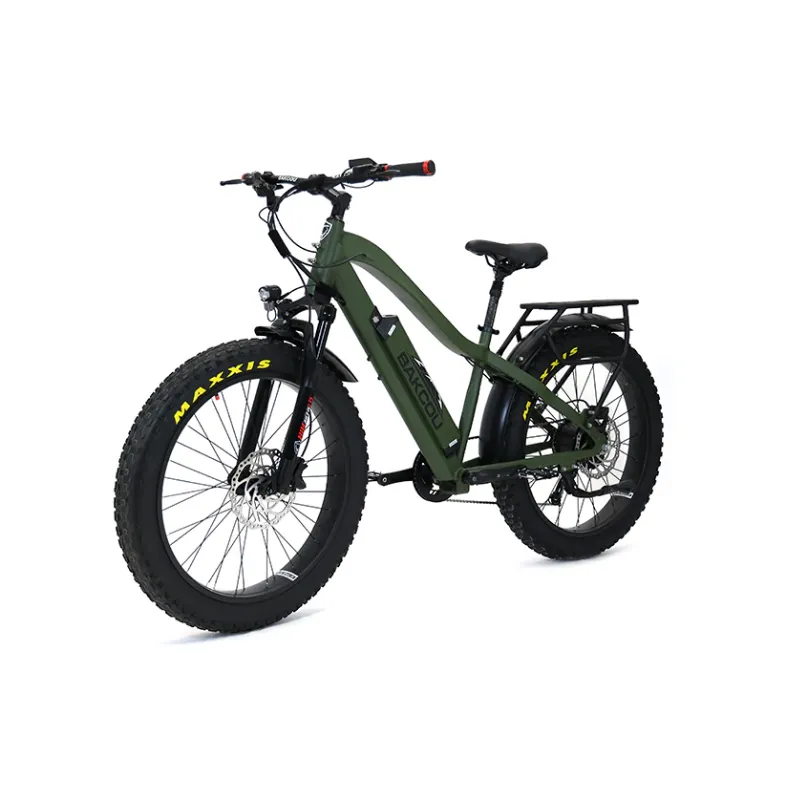 Bakcou Flatlander Fat Tire Electric Bike, 48V 750W