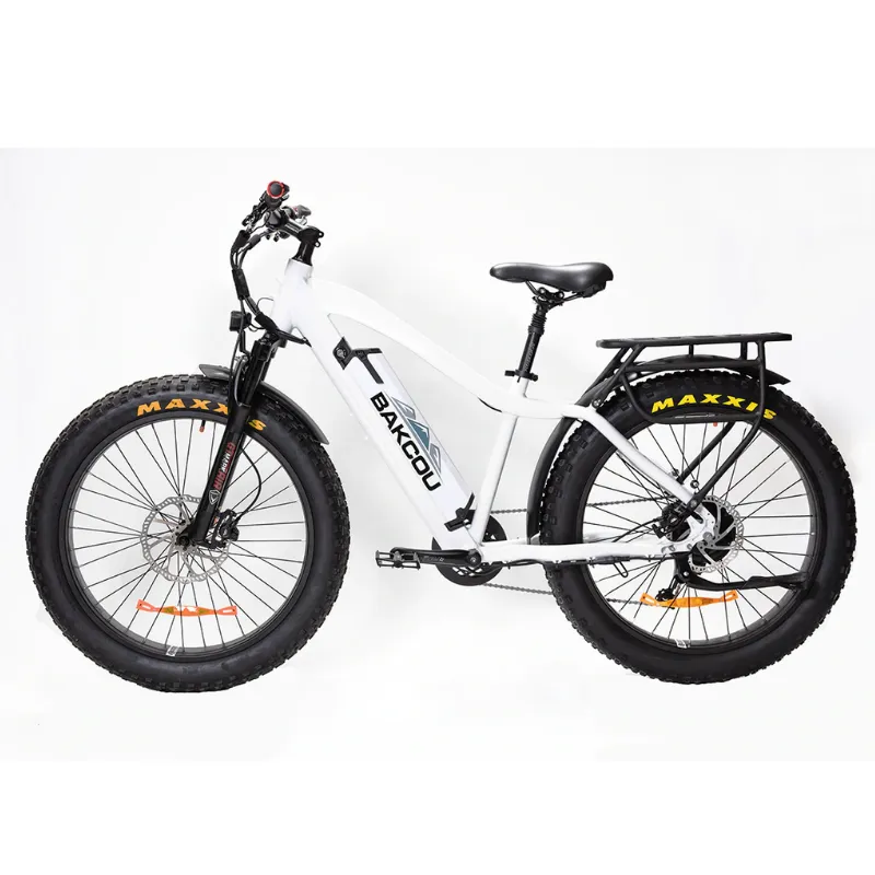 Bakcou Flatlander Fat Tire Electric Bike, 48V 750W