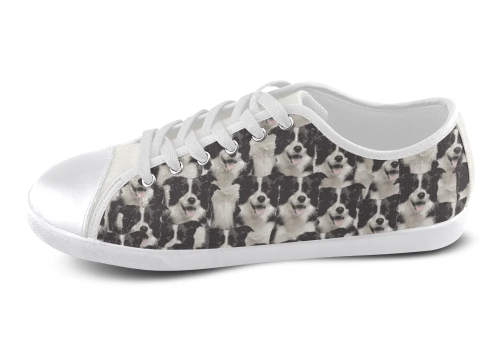 Border Collie Shoes