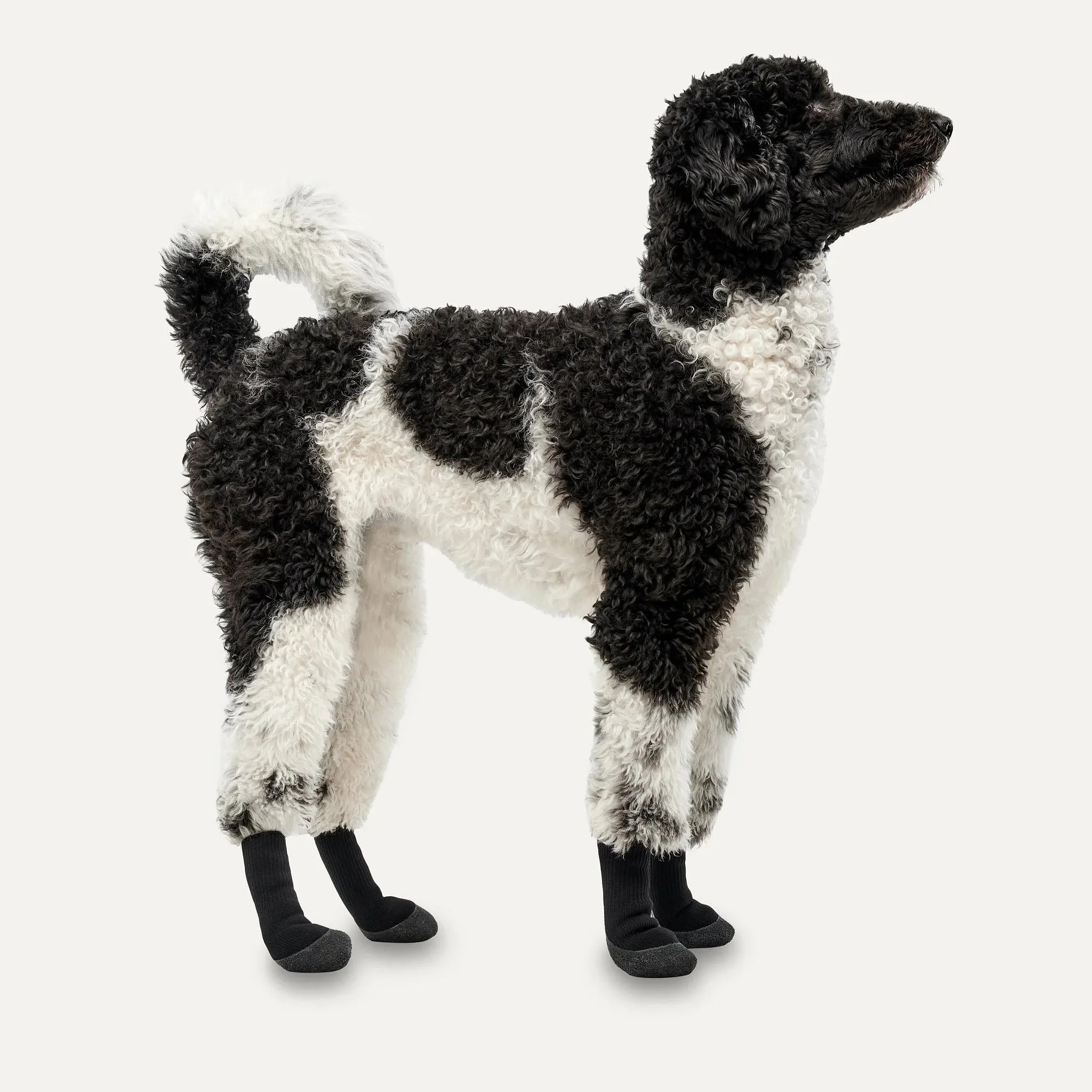 Goo-eez - Lites Dog Boots (4 pack)