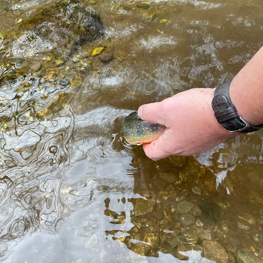 Mountain Trout Fly Fishing School in George Washington National Forest